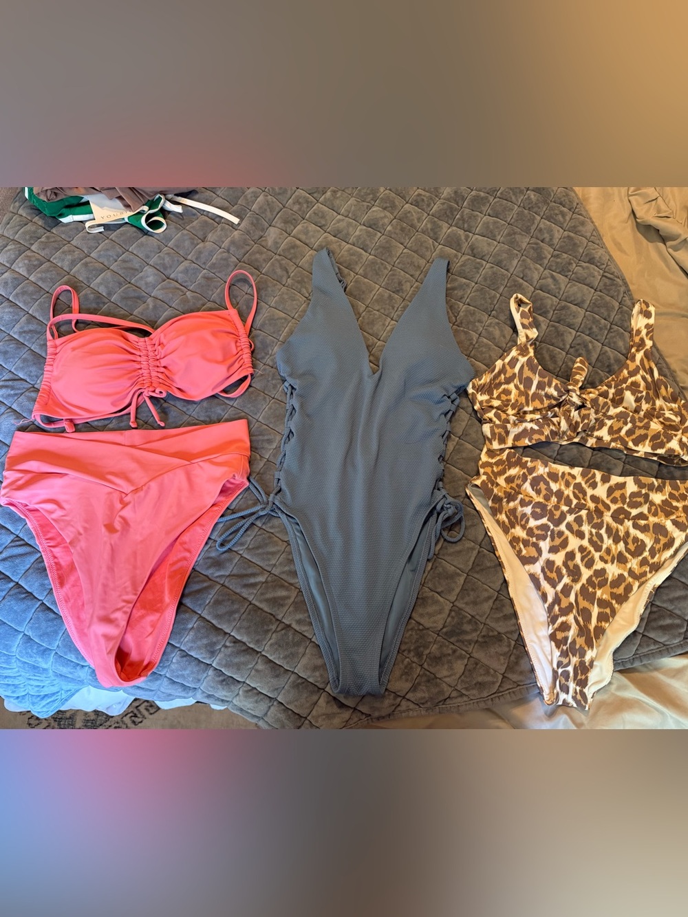 aerie Pink Bikini Set, Blue One-Piece, Leopard Print Bikini